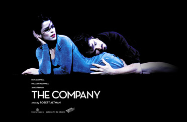 THE COMPANY